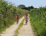 Mom and young daughter ride on bicycles on the narrow road in su