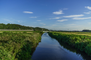 夏の鹿島川の風景