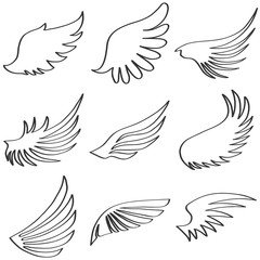 Wings of an angel, black and white wings of an ange