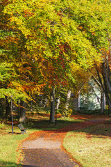 Naklejka premium Walking path in a park in autumn