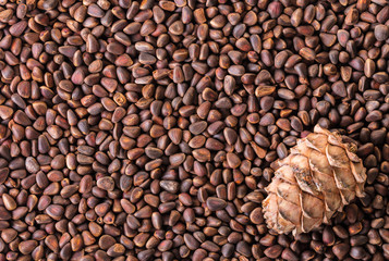 pine nuts and pine cone closeup