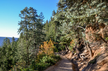 descending North Kaibab trail near Cococino overlook in the morning
North Rim, Grand Canyon National Park, Arizona, USA