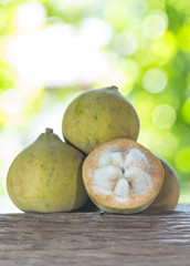 Santol fruit on a background of nature