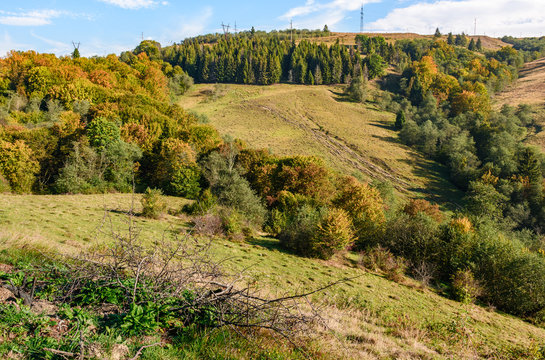 autumn meadow on hillside of mountain range