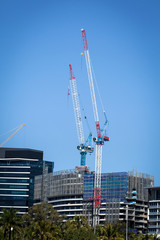 Cranes on Building Construction Site