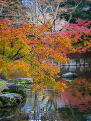Landscape of Japanese garden at autumn