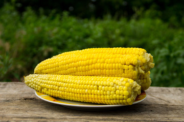Boiled sweet corn on plate on rustic wooden table