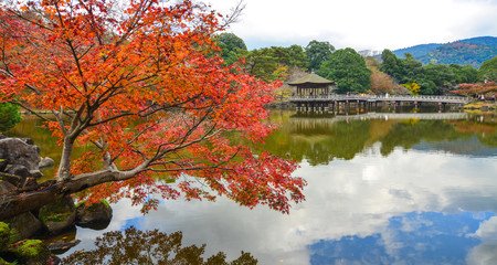 Landscape of Japanese garden at autumn