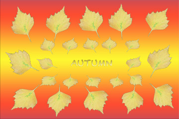 Frame of yellow leaves. Autumn