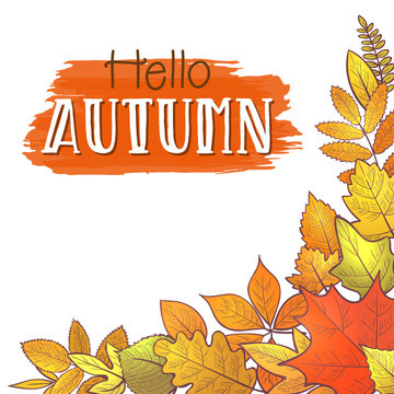 Background with autumn leaves, hello autumn. Vector