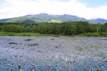 妙高高原　イモリ池