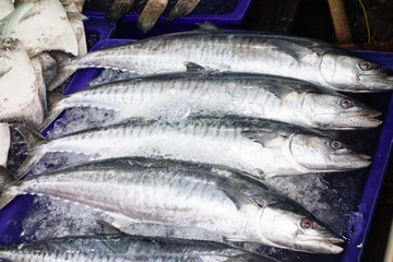 タイトル : タイ チョンブリ フィッシュクラブマーケット アンシラ水上マーケット カニ市場