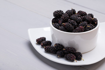 Mulberry