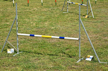 Hurdle gates of the dog agility contest
