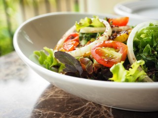 Fresh vegetable salad
