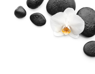 Beautiful orchid flower with stones on white background