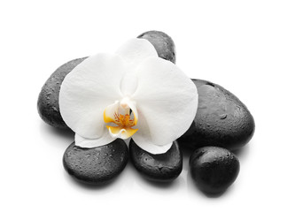 Fototapeta na wymiar Beautiful orchid flower with stones on white background