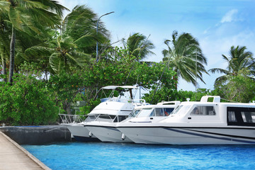 Berth with modern boats at tropical resort