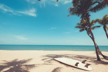 Crédence de cuisine en verre imprimé Été Planche de surf sur la plage tropicale en été. paysage de plage d& 39 été et palmier avec mer, fond de ciel bleu. Ton de couleur vintage