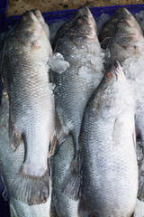 タイトル : タイ チョンブリ フィッシュクラブマーケット アンシラ水上マーケット カニ市場