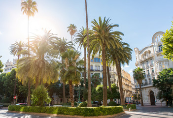 Palmen im Gegenlicht Valencia