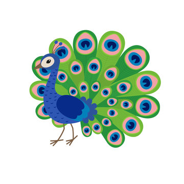 Cute peacock cartoon