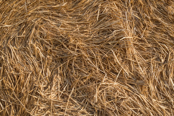 Straw bale - texture