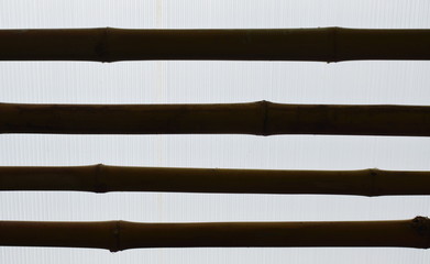 silhouette bamboo with shading roof background and texture