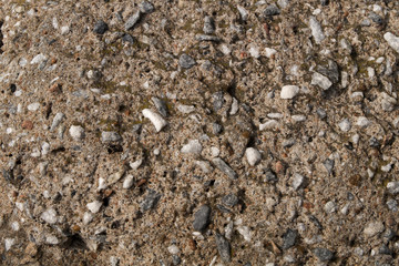 Stone texture photo. Natural rocks and moss. Suitable as a background for your design.