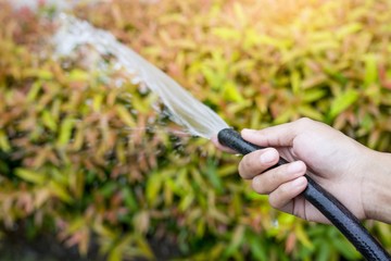 Woman hands watering the house with water hose.