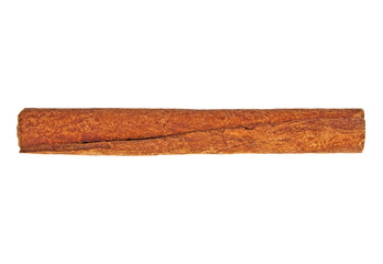 Single cinnamon stick isolated on white background