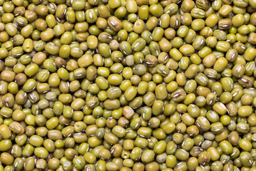 Assortment of Beans - Mung Bean