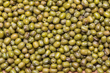 Assortment of Beans - Mung Bean