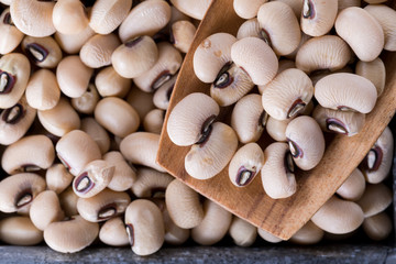 Assortment of Beans - Navy Bean