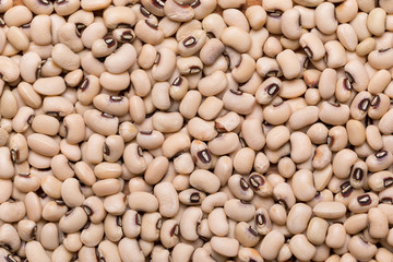Assortment of Beans - Navy Bean