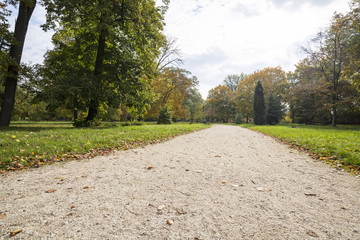 The line in the park in fall with yellow leaves