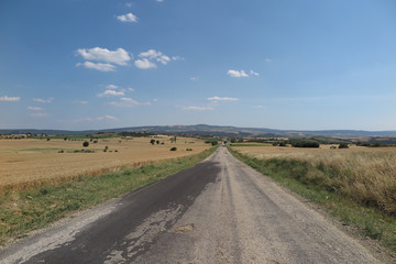 Fototapeta na wymiar Beautiful view of country road