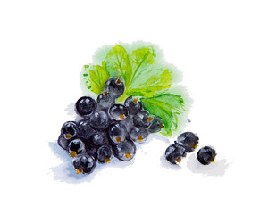 Watercolor illustration of blueberries