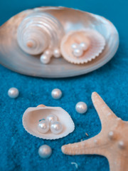pearls and shells on blue sand
