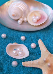 pears and shells on blue sand