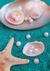  pearls and shells on blue sand