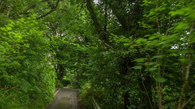 4k shot from a camera attached to the front of a vehicle driving on small countryside lanes in a forest in Wales