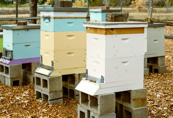 Colorful Wood Beehives