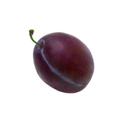 One large ripe blue plum