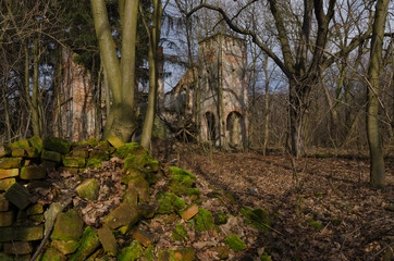 Dark abandoned buiding in the forest