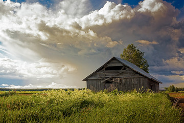 Summer Clouds Over The Barn and Fields