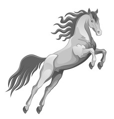 Jumping horse on a white background