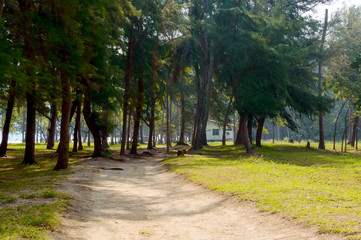 Trail at Leamsala way to Phraya Nakorn cave, Thailand. National Park Khao Sam Roi Yot