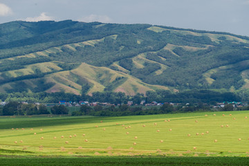 Fototapeta na wymiar Beautiful landscape of a field with hay bales against the big hill