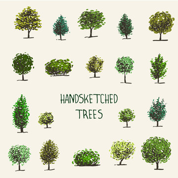 Set of hand drawn graphic trees